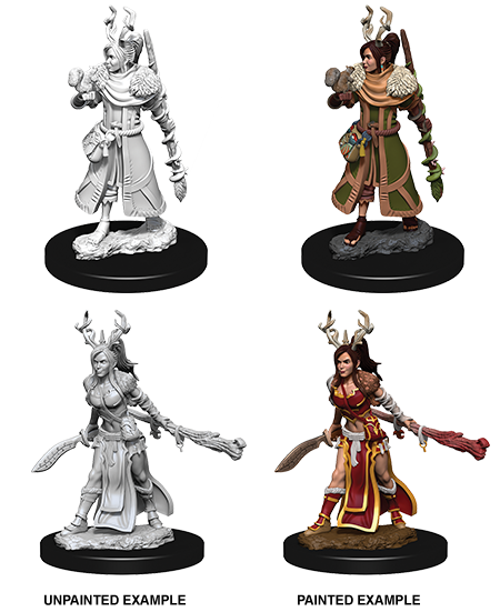 D&D Nolzur's Marvelous Unpainted Miniatures: W9 Human Female Druid