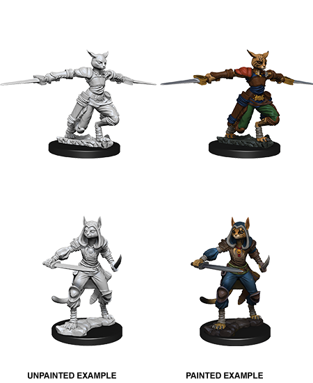 D&D Nolzur's Marvelous Unpainted Miniatures: W9 Tabaxi Female Rogue