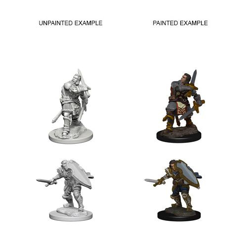 D&D Nolzur's Marvelous Unpainted Miniatures: W3 Human Paladin