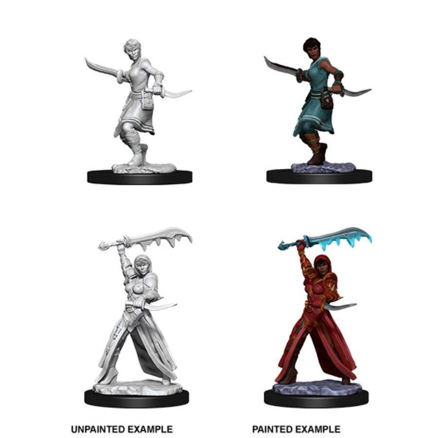 D&D Nolzur's Marvelous Unpainted Miniatures: W10 Human Female Rogue