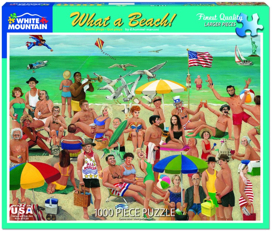 What a Beach! (1000 pc puzzle)