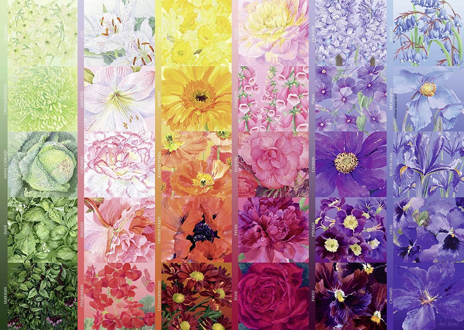 The Gardener's Palette (1000 pc puzzle)