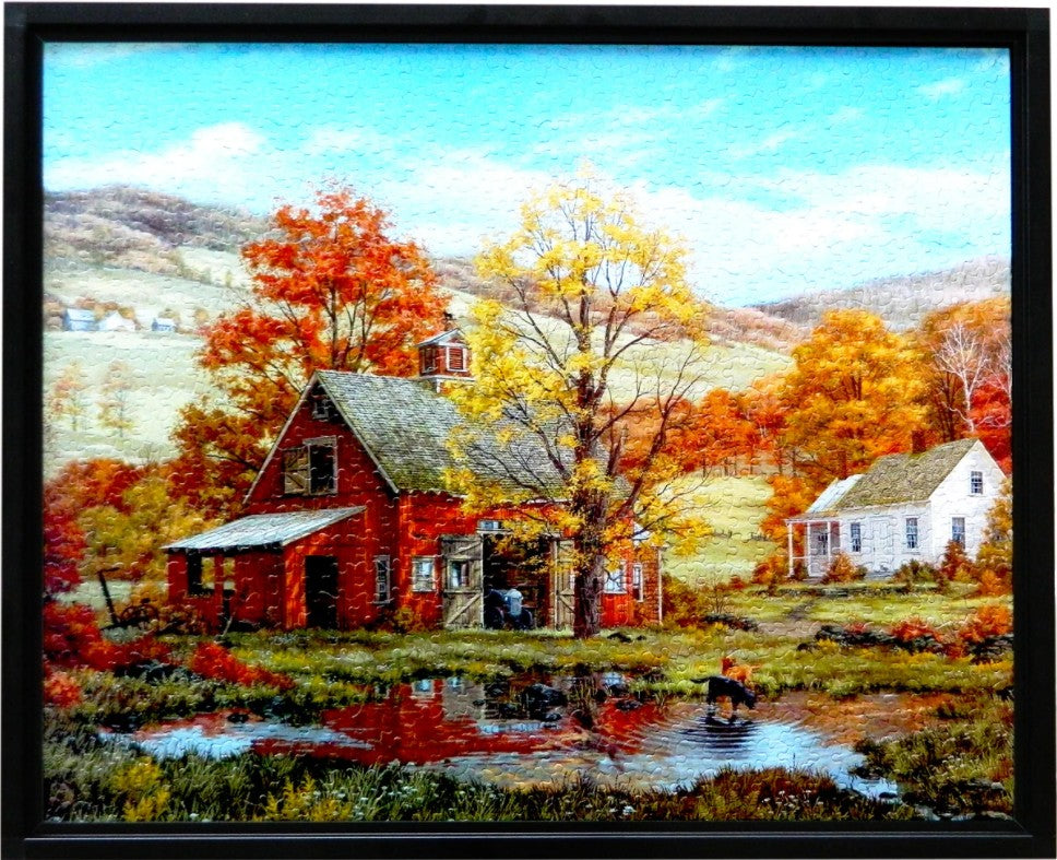 Premium F-1000 Puzzle Frame