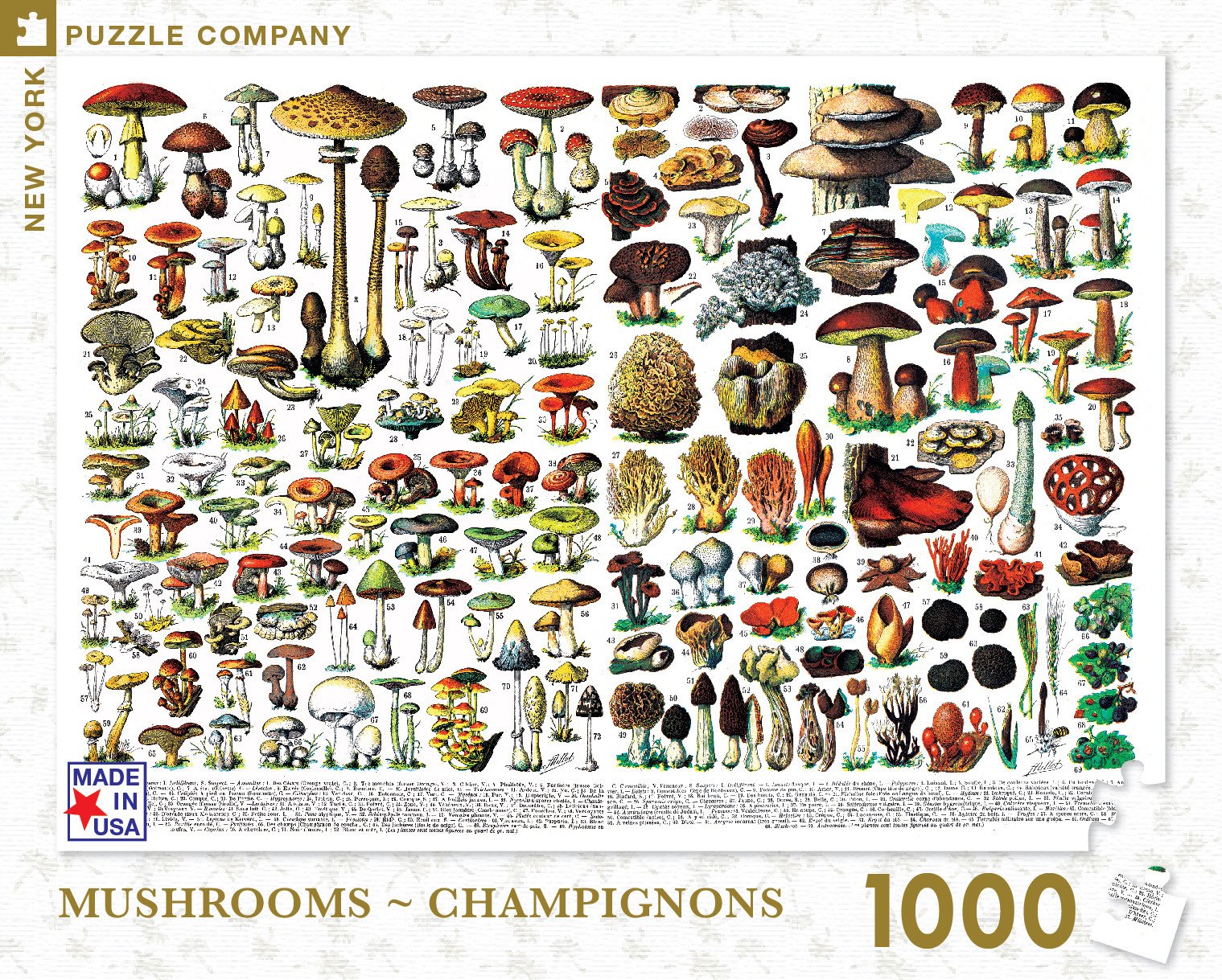 Mushrooms ~ Champignons (1000 pc puzzle)