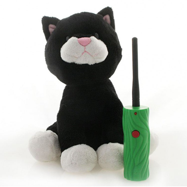 Hide & Seek Pals: Kupcake the Kitten