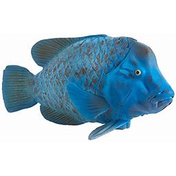 Mojo Animals: Blue Grouper
