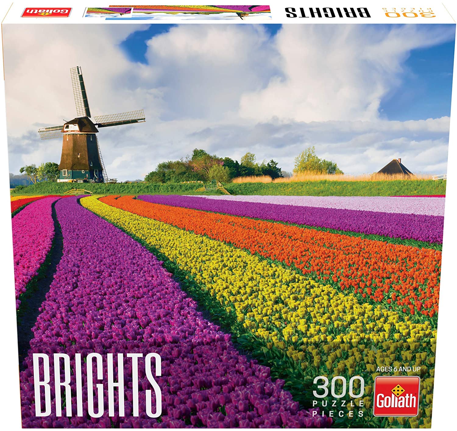 Brights: Tulips (300pc puzzle)