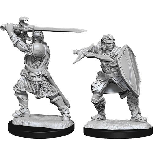 Pathfinder Deep Cuts Unpainted Miniatures: W14 Human Paladin Male