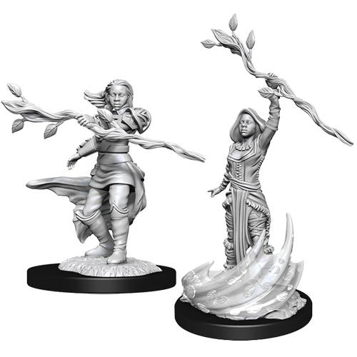 D&D Nolzur's Marvelous Unpainted Miniatures: W14 Human Female Druid