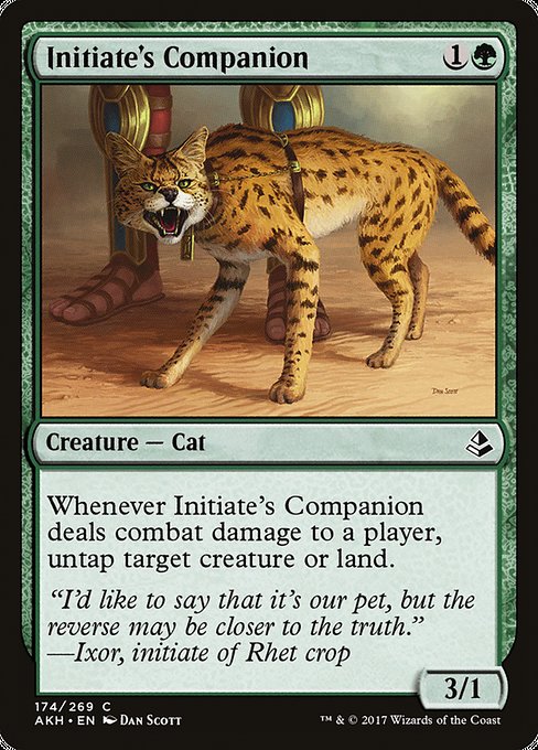 AKH: Initiate's Companion (Foil)