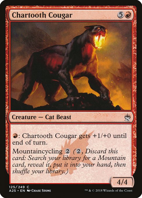 A25: Chartooth Cougar