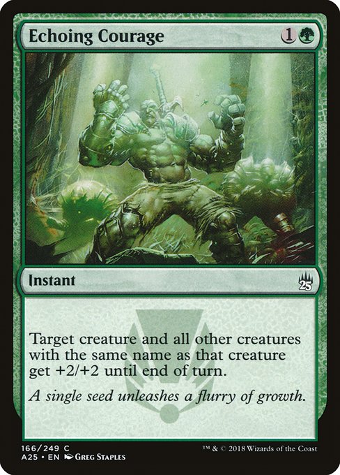 A25: Echoing Courage (Foil)