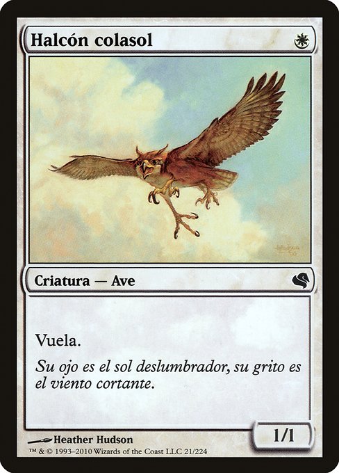 PS11: Suntail Hawk (Spanish) - "Halcon colasol"