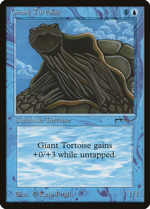 ARN: Giant Tortoise