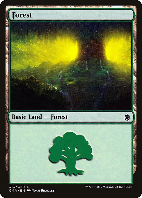 CMA: Forest (313)
