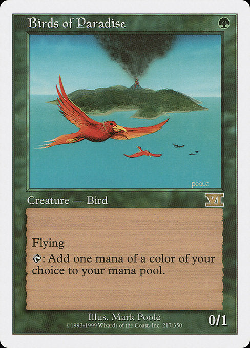 6ED: Birds of Paradise
