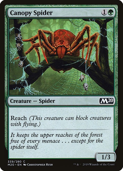 M20: Canopy Spider