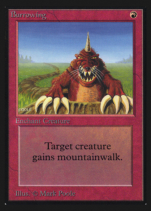 CEI: Burrowing (IE)