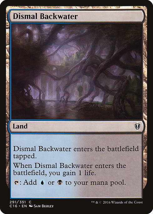 C16: Dismal Backwater