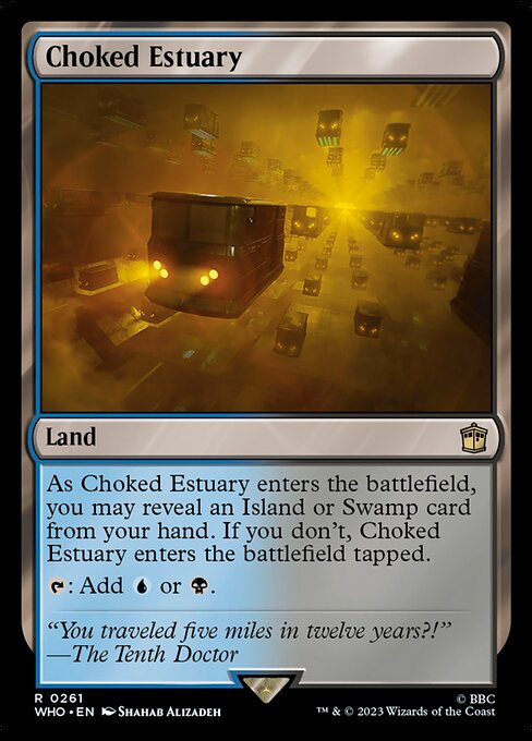 WHO: Choked Estuary (Foil)