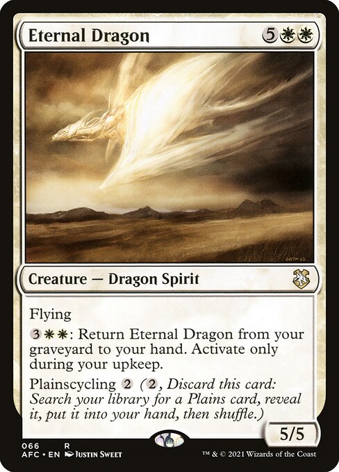 AFC: Eternal Dragon