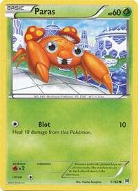 BKT: Paras
