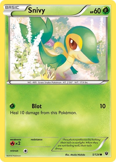 FCO: Snivy