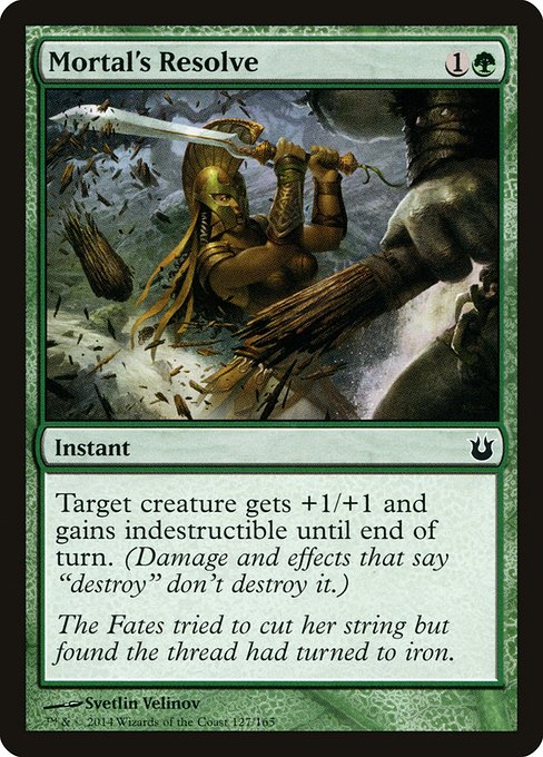 BNG: Mortal's Resolve