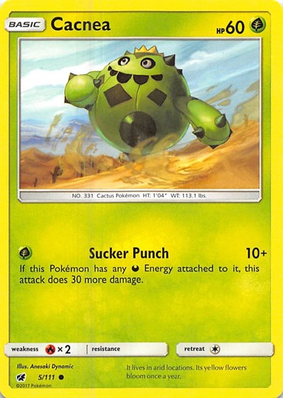 SM04: Cacnea