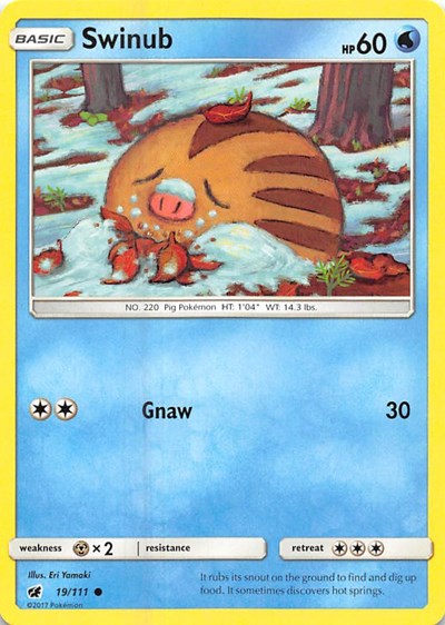 SM04: Swinub