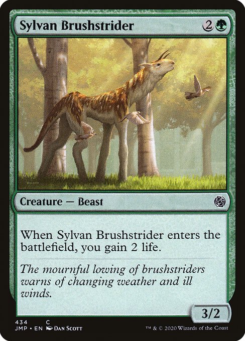 JMP: Sylvan Brushstrider