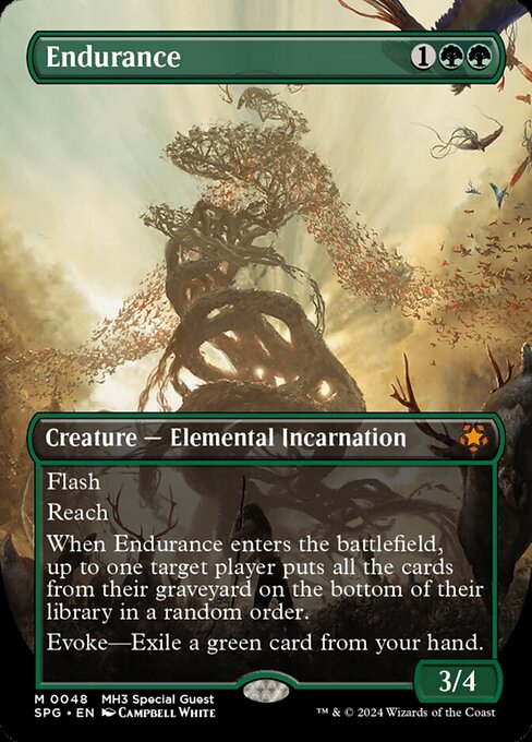 SPG: Endurance (Borderless)