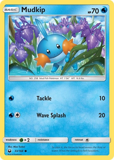 CES: Mudkip (33) (Reverse Holofoil)