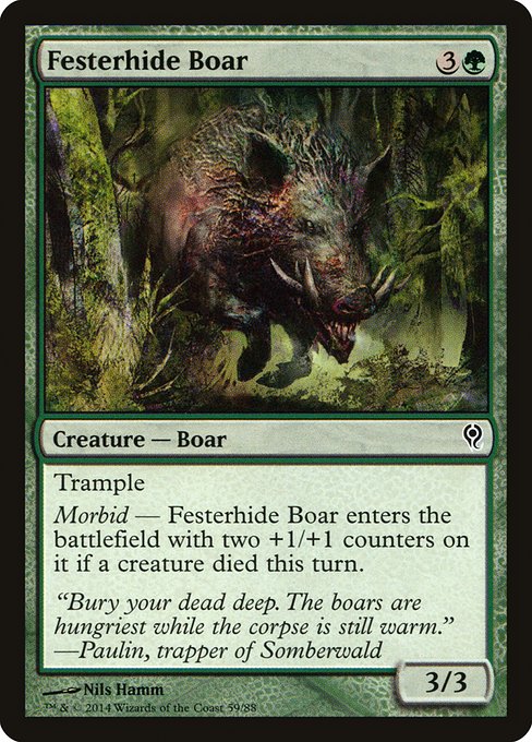 DDM: Festerhide Boar