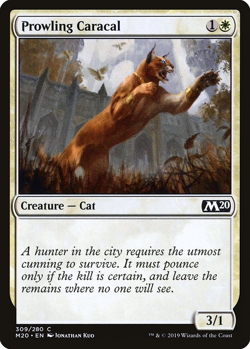 M20: Prowling Caracal