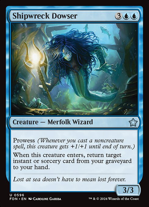 FDN: Shipwreck Dowser