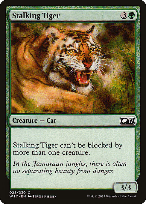 W17: Stalking Tiger