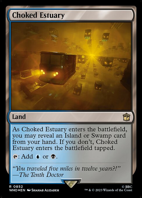 WHO: Choked Estuary (Surge Foil)