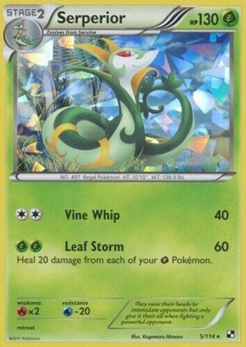 PR: Serperior - 5/114 (Cracked Ice Holo) (Holofoil)