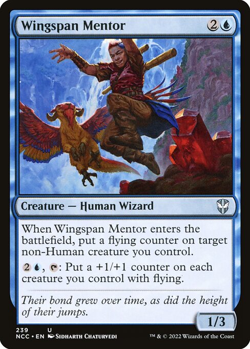 NCC: Wingspan Mentor