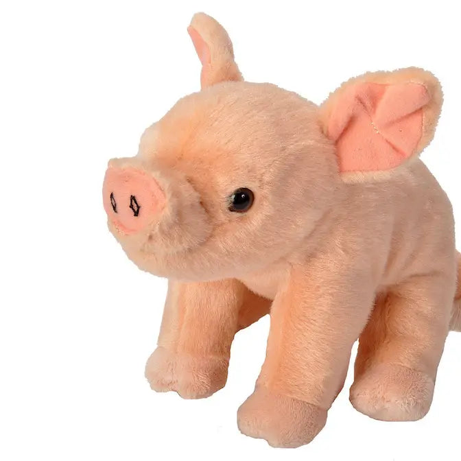 Ck-Mini Pig Baby Stuffed Animal 8"
