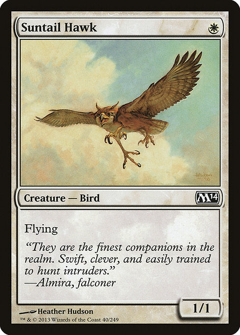 M14: Suntail Hawk