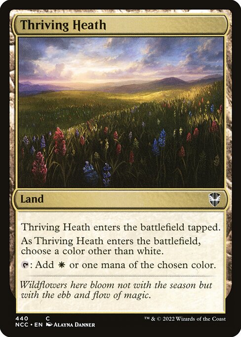 NCC: Thriving Heath