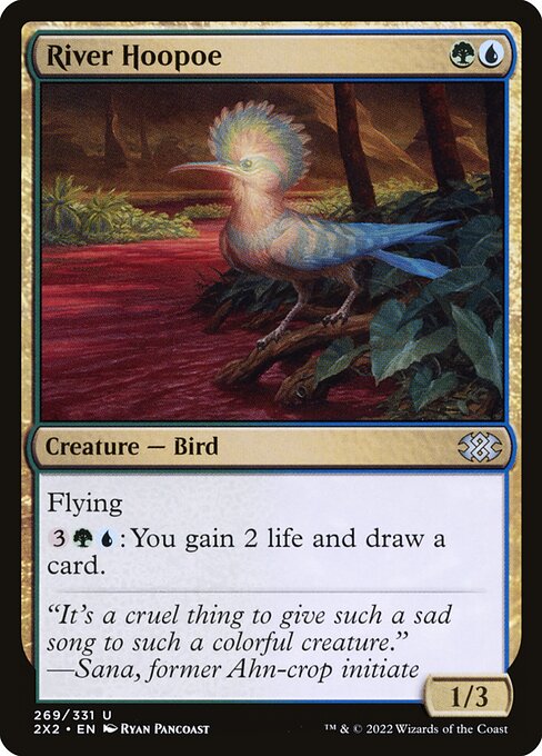 2X2: River Hoopoe