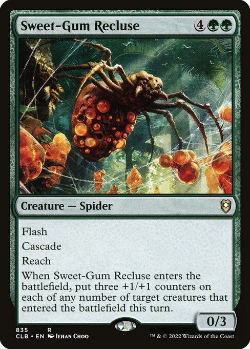 CLB: Sweet-Gum Recluse