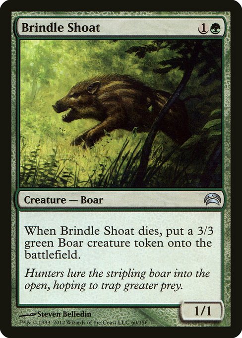 PC2: Brindle Shoat