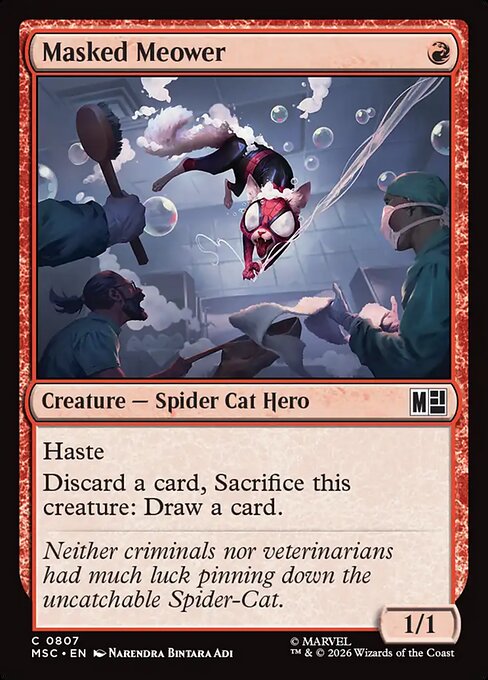 MSC: Masked Meower