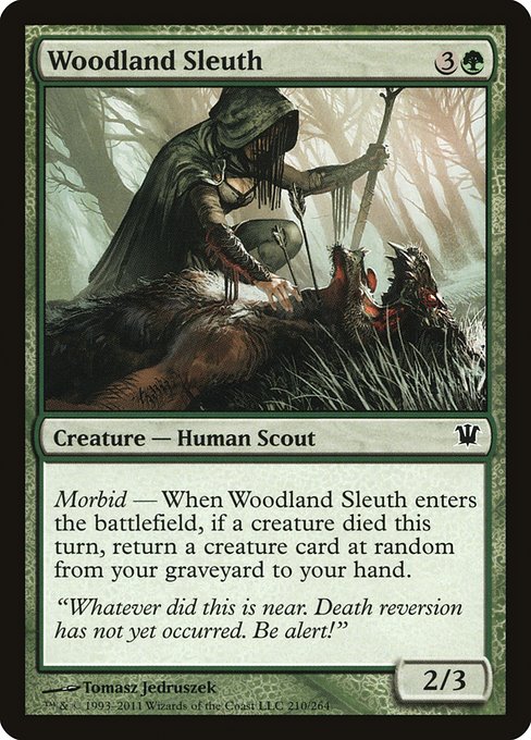 ISD: Woodland Sleuth (Foil)