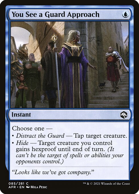 AFR: You See a Guard Approach
