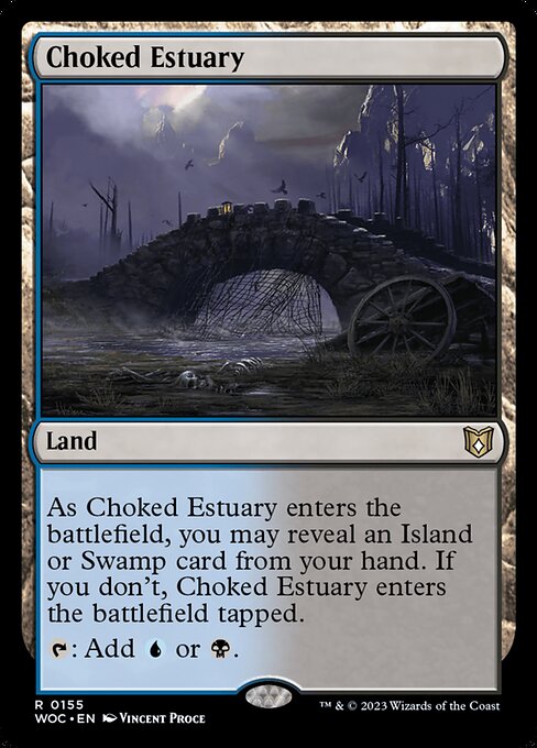 WOC: Choked Estuary